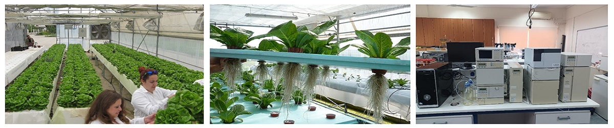 Εργαστήριο Φυσιολογίας και Θρέψης Φυτών