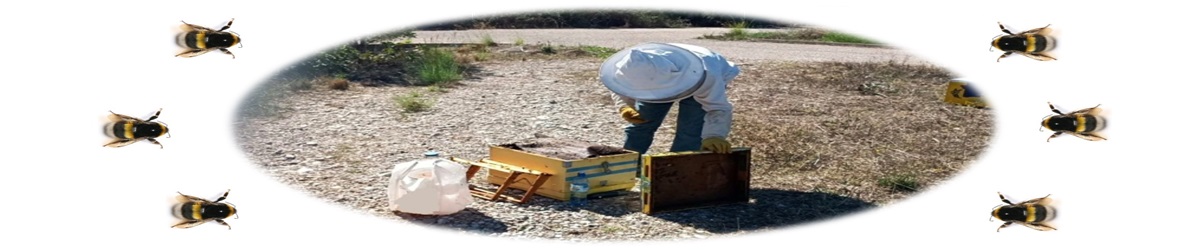 Apiculture