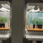 Lab Plant Physiology and Biochemistry