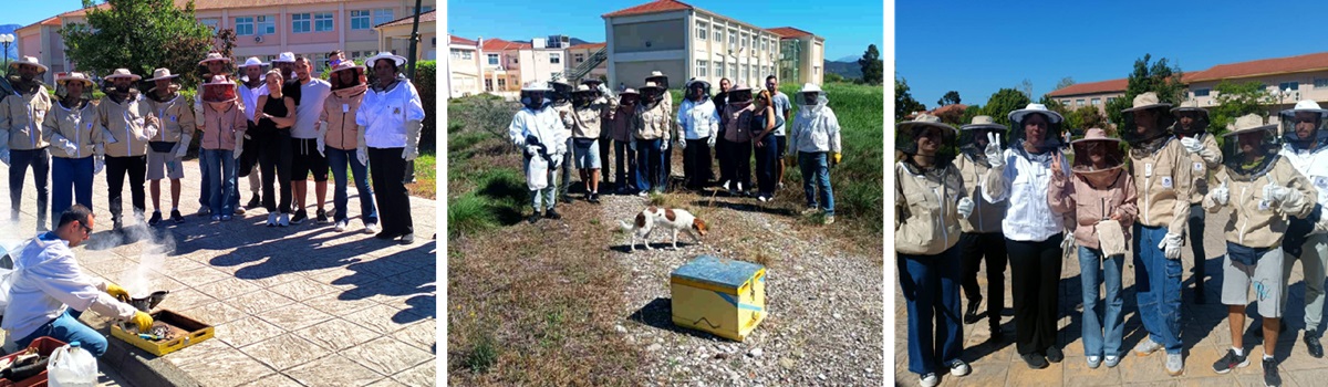 Εργαστήριο Μελισσοκομίας Φοιτητές