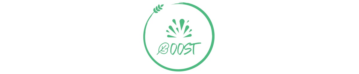 Έργο BOOST