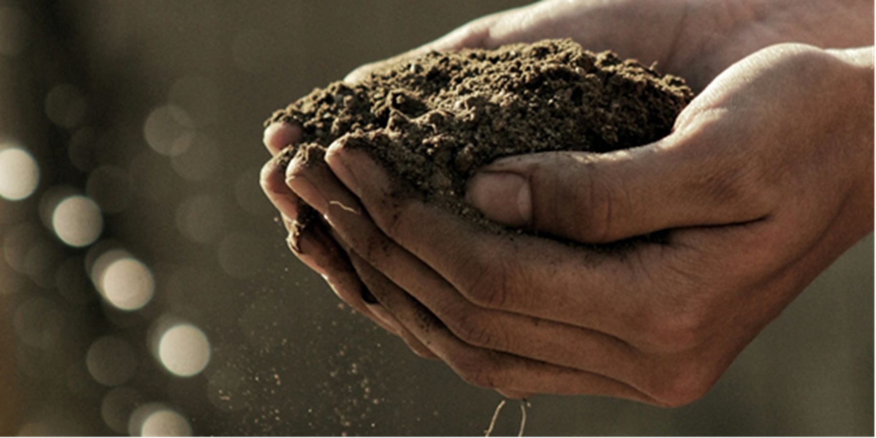 Χέρια με χώμα